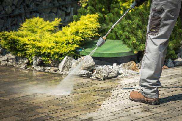 Best Pre-Holiday Cleaning  in Vamo, FL