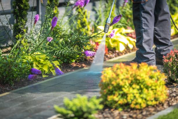 Winterizing Services in Vamo, FL